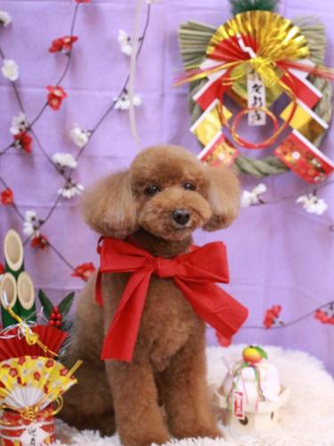 20230107レオくん